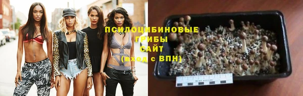 альфа пвп Гусиноозёрск