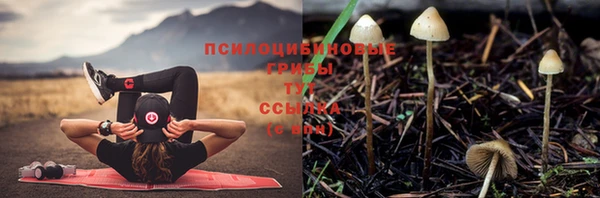 альфа пвп Гусиноозёрск
