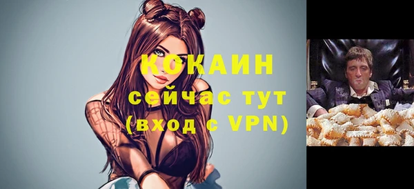 первитин Гусев