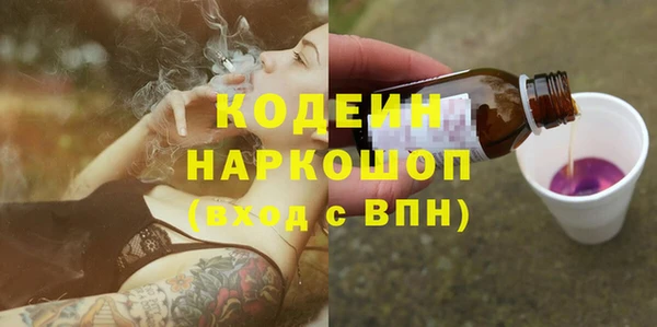 первитин Гусев