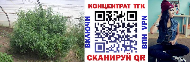 Дистиллят ТГК вейп  Купить  Свободный 